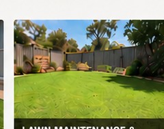 Neatly maintained backyard lawn